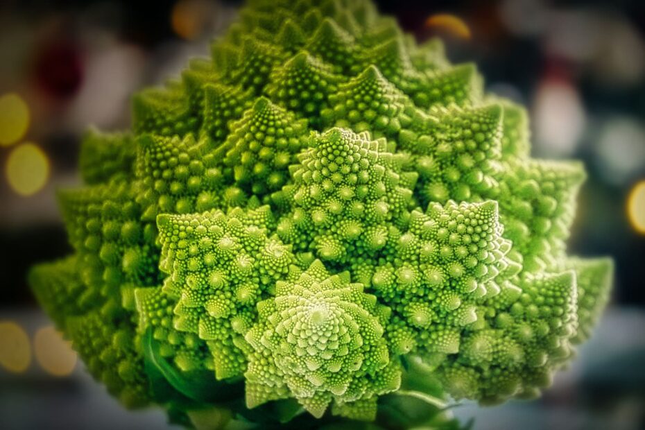 La recherche de validation et le chou romanesco sont la conséquence de la répétition intérieure.