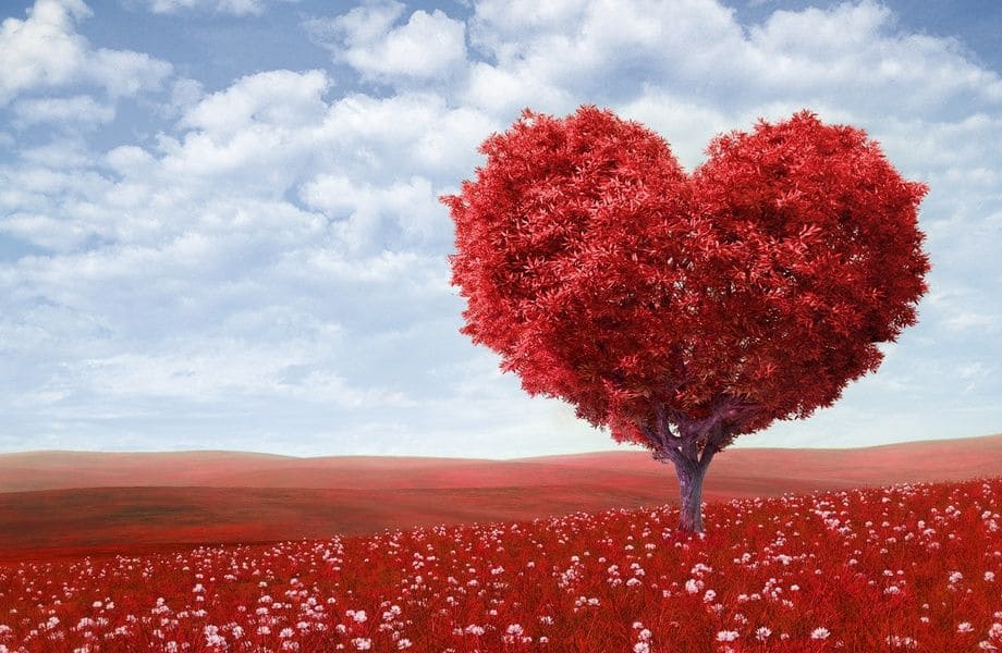 Un arbre rouge en forme de coeur réprésente l'amour inconditionnel.